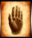 Palmistry Consultation